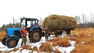 НОЯБРЬ.СЕНОКОС ПО СИБИРСКИ. ВЫВОЗИМ ОСТАТКИ СЕНА.