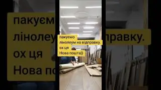 линолеум для ремонта квартиры