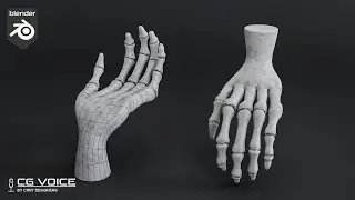 Hand Skeleton modeling in blender _ blender modeling