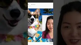 Sora - OpenAI’s ground breaking AI text to video tool revealed!