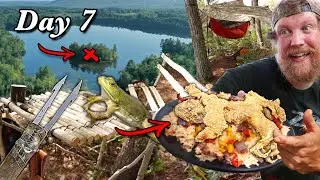 Spear Fishing Whole Bull Frog Catch, Clean & Cook - Day 7 of 7 Day Island Survival Challenge Maine