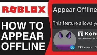 How to Appear Offline in Roblox (2024)