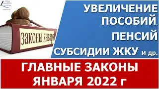 Главные законы января 2022. Какие законы вступили в силу с 1 января 2022 года