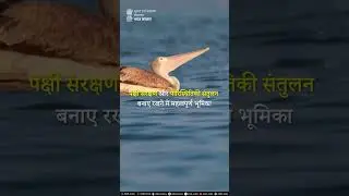 भारत में रामसर स्थलों की संख्या बढ़कर 85 हो गई है।