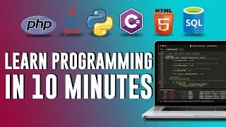 Intro to programming | Learn Programming in 10 mins | How To Learn Programming for BEGINNERS!