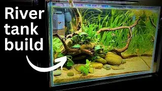 EPIC River tank setup | Step by step Aquascaping tutorial