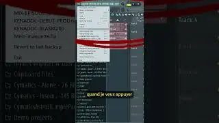 Pourquoi 2 sauvegardes du même projet sur FL Studio ? 🤔 
