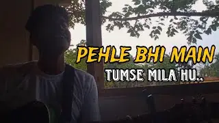 Pehle bhi main | ANIMAL | Ranbir Kapoor, Tripti Dimri | Sandeep V Vishal M, Raj S |Bhushan K #cover