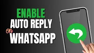 How to Enable WhatsApp Auto Reply | WhatsApp Auto Reply | 2024