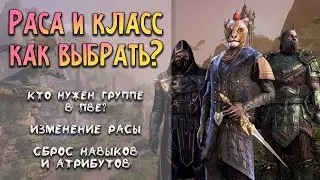 Выбор расы и класса в ТЕСО | Гайд для новичков