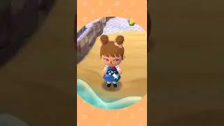 Double Special Fortune Cookies - Market Place | Animal Crossing: Pocket Camp