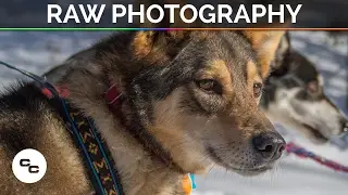 RAW Photography vs JPEG - Comparison and Tutorial