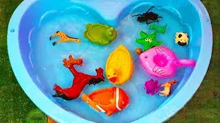 Learn Ocean Animals Toys for kids  Horse Duck Farm Animals Shark Clownfish