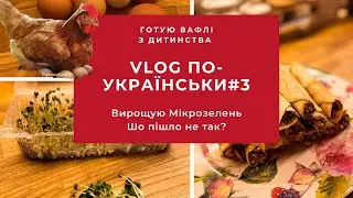 VLOG#3🥚Про яйця😳Шок!як НЕ треба вирощувати мікрозелень🌱