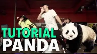 PANDA - Desiigner (Dance TUTORIAL) | @MattSteffanina Choreography | DANCE TUTORIALS LIVE