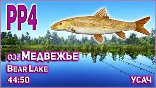 РР4 МЕДВЕЖЬЕ УСАЧ / RF4 AMBER LAKE BARBEL / РУССКАЯ РЫБАЛКА 4 ОЗЕРО МЕДВЕЖЬЕ УСАЧ