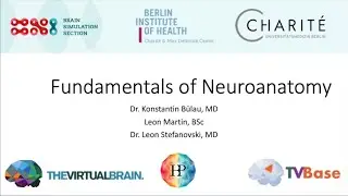 Fundamentals Of Neuroanatomy - Dr. Konstantin Bülau, Leon Martin, Dr. Leon Stefanovski
