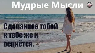 Мудрые Мысли | Красивые Афоризмы, Цитаты про Жизнь