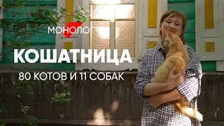 Со мной живут 80 кошек и 11 собак: 