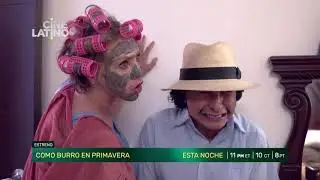 Como burro en primavera  Esta noche