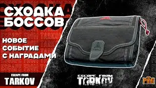 🎙 СХОДКА БОССОВ В ТАРКОВЕ С НАГРАДАМИ [ESCAPE FROM TARKOV] | PingH8