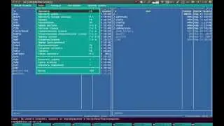 Midnight Commander - удобный текстовый файловый менеджер