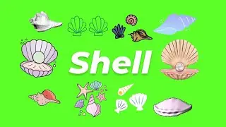 Animated Shell GIF Green Screen Pack (Free Download)