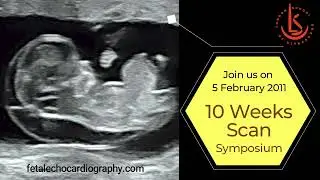 10 Weeks Scan Symposium 2022