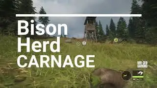 Bison Whole Herd Hunted in 5 seconds The Hunter Call of the Wild