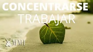 Musica para Concentrarse y Trabajar