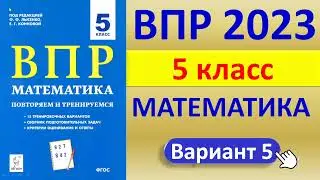 ВПР 2023  //  Математика 5 класс  //  Типовой  вариант // Решение, ответы, баллы  // Сборник Лысенко