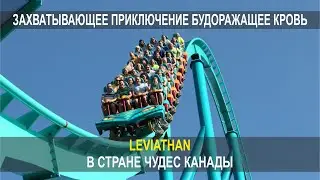 ЗАХВАТЫВАЮЩЕЕ ПРИКЛЮЧЕНИЕ БУДОРАЖАЩЕЕ КРОВЬ, LEVIATHAN, В СТРАНЕ ЧУДЕС КАНАДЫ