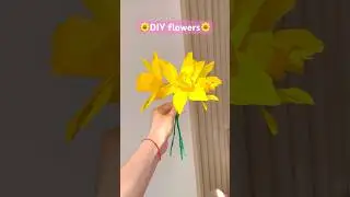 DIY paper flowers🌼