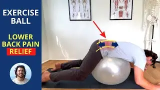 Fix Lower Back Pain With This Swiss Ball Exercise 🔥 WORKS FAST