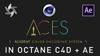 Silverwing Quick Tip: ACES in Octane C4D and After Effects