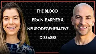 What is the blood-brain barrier and what role does it play in neurodegenerative disease?