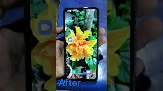 Samsung Galaxy A50 Restoration