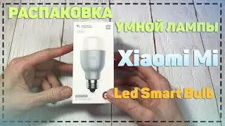 Распаковка умной RGB лампы Xiaomi Mi Led Smart Bulb