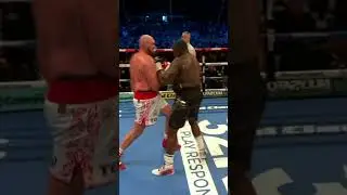 Тайсон Фьюри и Дилан Уайт нокаут I Tyson Fury vs Dylan White knockout