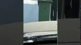 Охота на мусоровоз в деревне