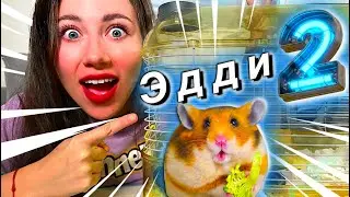 ПЕРВЫЙ ДЕНЬ ХОМЯКА ДОМА - НОВЫЙ ПИТОМЕЦ Эдди Второй | Elli Di Pets