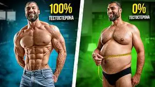 Глобальное снижение тестостерона и феминизация. Разбор исследований.