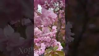 Весна не приходит одна… С  ней всегда Вера Надежда и Любовь