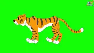 Tiger green screen cartoon video || green screen cartoon video 