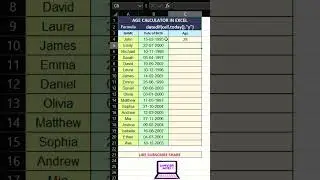 Excel: Age Calculator 