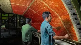 Inside Massive Factory Producing Billions of Matchsticks Every Year