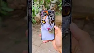 Xiaomi 15 Ultra Camera Test 🔥
