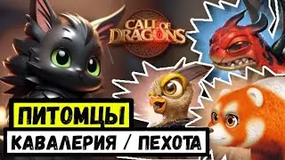 Питомцы для КАВАЛЕРИИ И ПЕХОТЫ / Подводим итоги по ТОП зверькам [ Call of Dragons ]