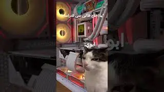 يبا ابي بي سي