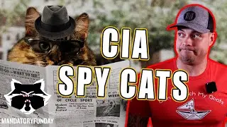 Operation Acoustic Kitty - The CIA, Cats, And Russians